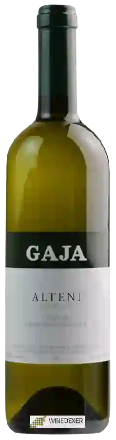 Winery Gaja - Alteni di Brassica Langhe