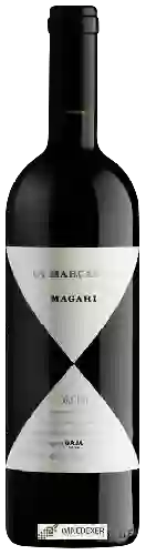 Winery Gaja - Ca'Marcanda Magari