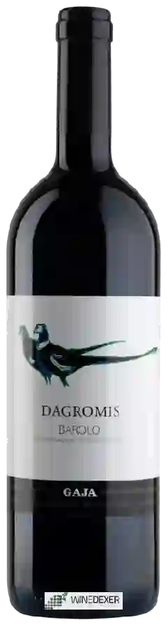 Winery Gaja - Dagromis Barolo
