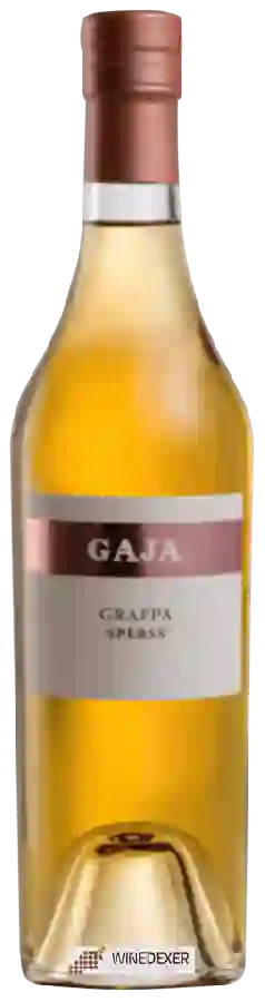Winery Gaja - Sperss Grappa