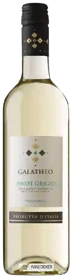 Winery Galatheo - Pinot Grigio Bianco Winery Galatheo - Pinot Grigio Bianco