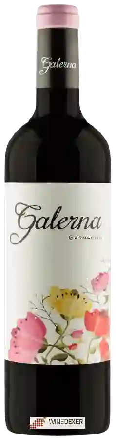 Winery Galerna - Garnacha Winery Galerna - Garnacha