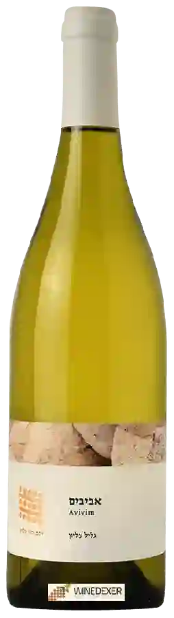 Galil Mountain Winery (יקב הרי גליל) - Avivim