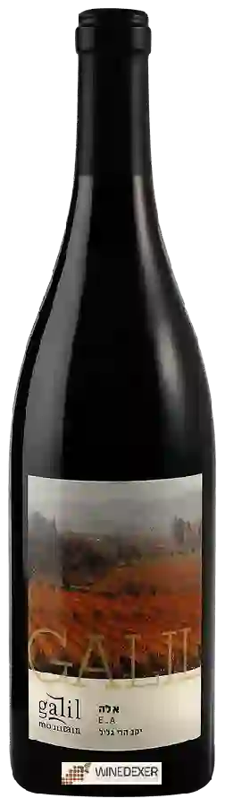 Galil Mountain Winery (יקב הרי גליל) - Ela
