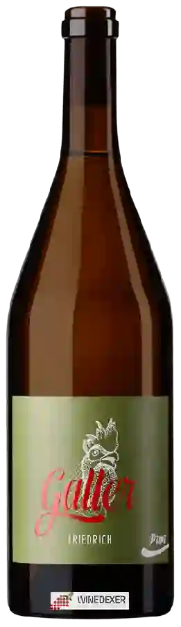 Winery Galler - Friedrich