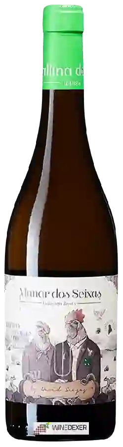 Winery Gallina de Piel - Manar dos Seixaş Winery Gallina de Piel - Manar dos Seixaş