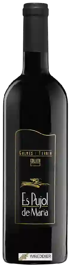 Winery Galmés i Ferrer - Es Pujol de Maria Tinto