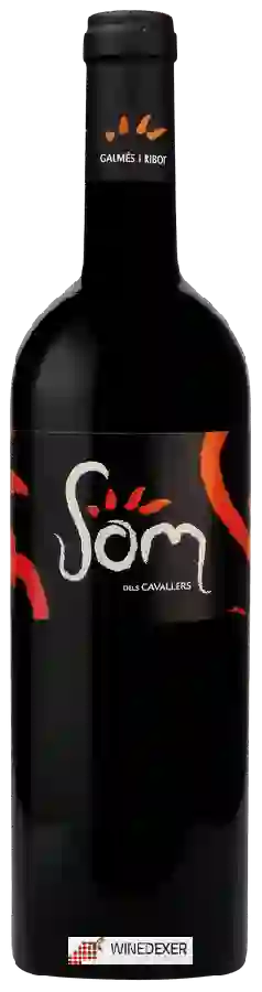 Winery Galmes I Ribot - Som Dels Cavallers