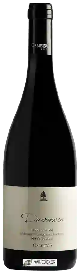 Winery Gambino Vini - Duvanera Nero d'Avola Winery Gambino Vini - Duvanera Nero d'Avola
