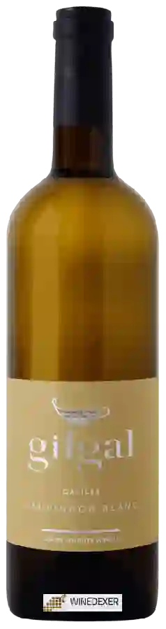 Winery Gamla - Gilgal Sauvignon Blanc Winery Gamla - Gilgal Sauvignon Blanc