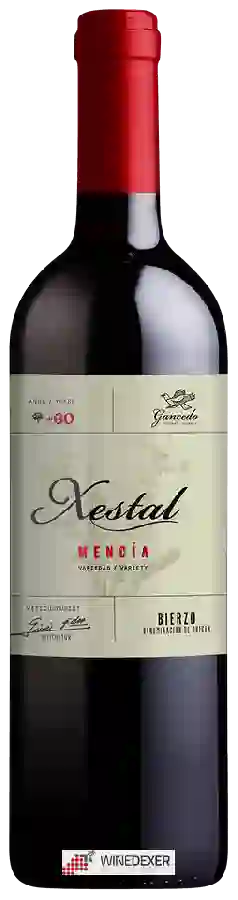 Winery Gancedo - Xestal Mencía