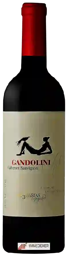 Winery Gandolini - Las 3 Marías Vineyards Cabernet Sauvignon Winery Gandolini - Las 3 Marías Vineyards Cabernet Sauvignon