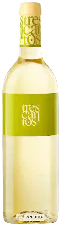Winery Garciarevalo - Tres Cantos