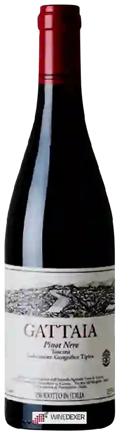Winery Terre di Giotto - Gattaia Pinot Nero Winery Terre di Giotto - Gattaia Pinot Nero