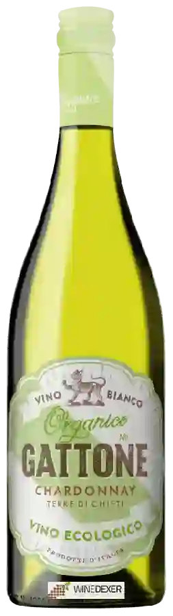 Winery Gattone - Chardonnay