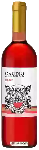 Winery Gaudio - Bricco Mondalino - Ciaret