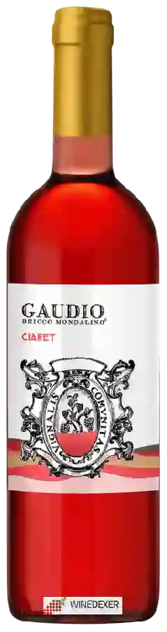 Winery Gaudio - Bricco Mondalino - Ciaret Winery Gaudio - Bricco Mondalino - Ciaret