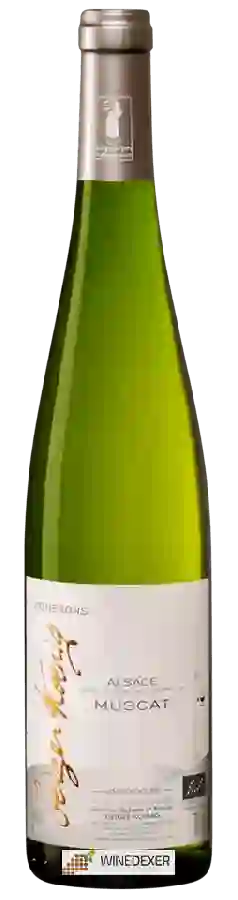 Winery Geiger Koenig - Muscat Winery Geiger Koenig - Muscat