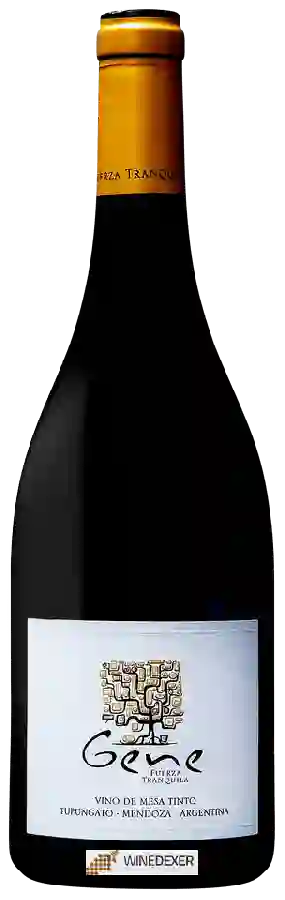 Winery Gen del Alma - Gene
