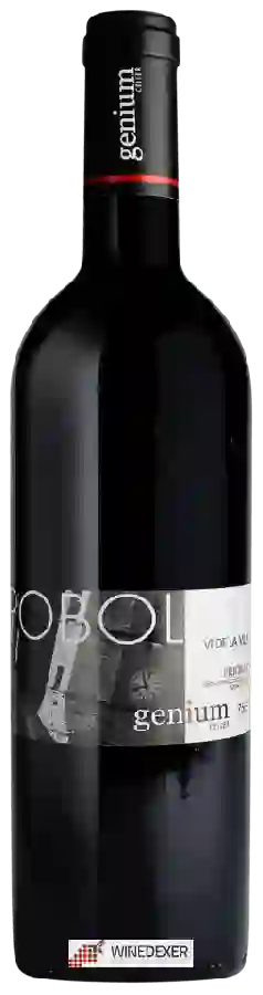 Winery Genium - Poboleda Winery Genium - Poboleda