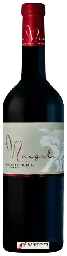 Winery Georg Naegele - Domus Trocken