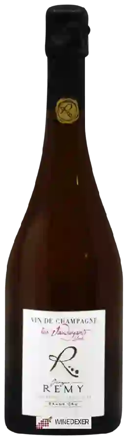Winery Georges Rémy - Les Vaudayants Champagne Grand Cru Rosé