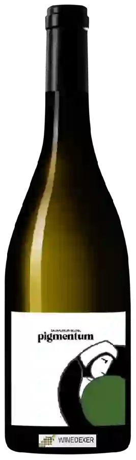 Winery Georges Vigouroux - Pigmentum Sauvignon Blanc Winery Georges Vigouroux - Pigmentum Sauvignon Blanc