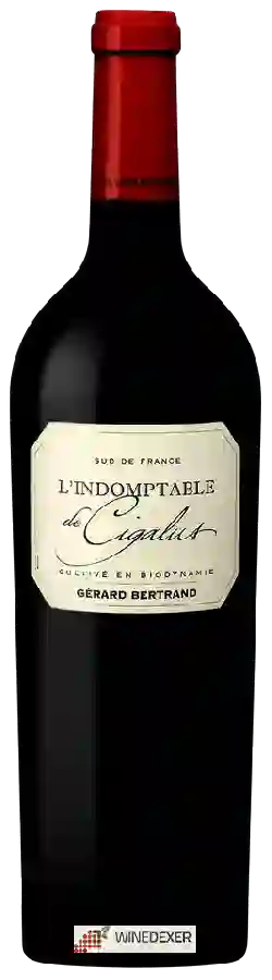 Winery Gérard Bertrand - L'Indomptable De Cigalus Red Winery Gérard Bertrand - L'Indomptable De Cigalus Red