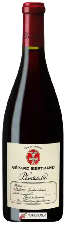 Winery Gérard Bertrand - Plantabelle
