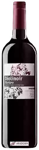 Winery Gérald Besse - Diolinoir