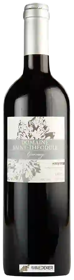 Winery Gérald Besse - Domaine Saint-Théodule Gamay