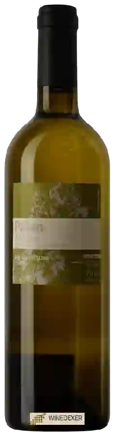 Winery Gérald Besse - Les Serpentines Païen Winery Gérald Besse - Les Serpentines Païen