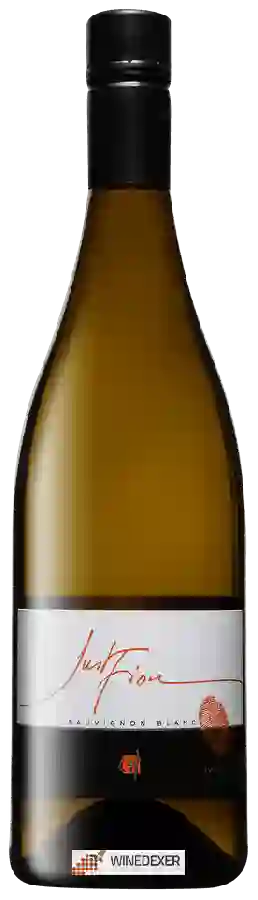 Winery Gerard Fiou - Just Fiou Sauvignon Blanc Winery Gerard Fiou - Just Fiou Sauvignon Blanc