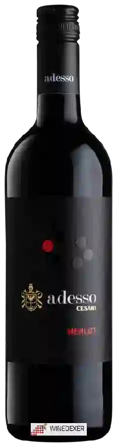 Winery Cesari - Adesso Merlot