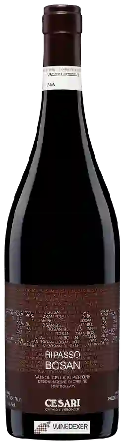 Winery Cesari - Bosan Valpolicella Ripasso Superiore Winery Cesari - Bosan Valpolicella Ripasso Superiore