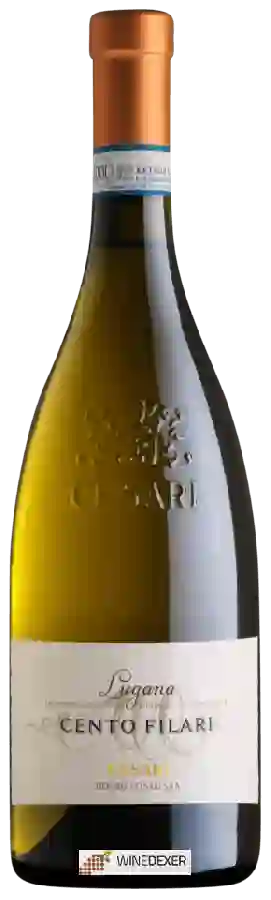 Winery Cesari - Cento Filari Lugana Winery Cesari - Cento Filari Lugana