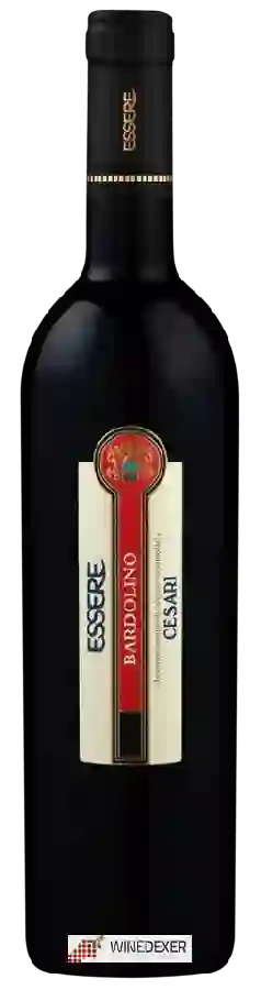 Winery Cesari - Essere Bardolino