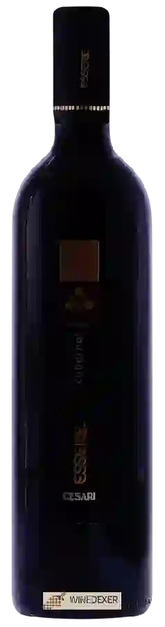 Winery Cesari - Essere Cabernet Winery Cesari - Essere Cabernet
