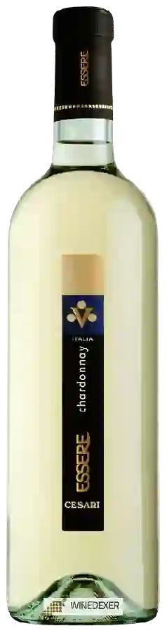 Winery Cesari - Essere Chardonnay