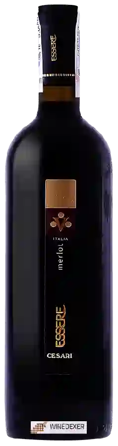 Winery Cesari - Essere Merlot