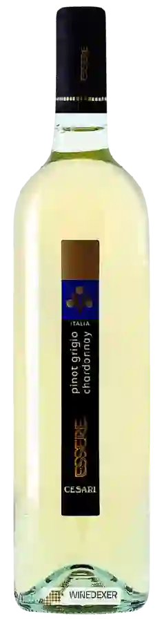 Winery Cesari - Essere Pinot Grigio - Chardonnay Winery Cesari - Essere Pinot Grigio - Chardonnay