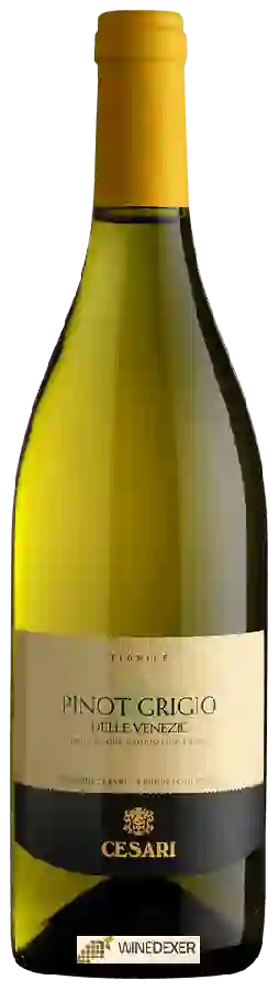 Winery Cesari - Fiorile Pinot Grigio delle Venezie Winery Cesari - Fiorile Pinot Grigio delle Venezie