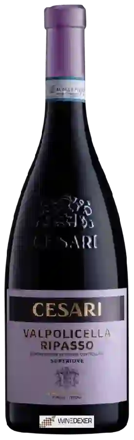 Winery Cesari - Mara Valpolicella Superiore Ripasso Winery Cesari - Mara Valpolicella Superiore Ripasso