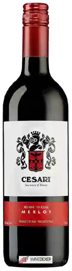 Winery Cesari - Merlot