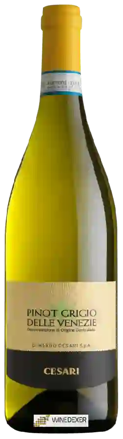 Winery Cesari - Pinot Grigio delle Venezie