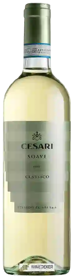Winery Cesari - Soave Classico Winery Cesari - Soave Classico
