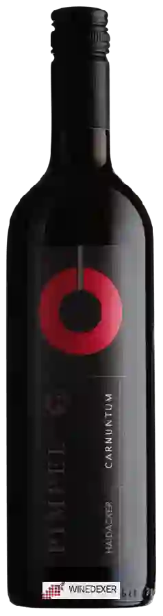 Winery Gerhard Pimpel - Cabernet Sauvignon (Haidacker) Winery Gerhard Pimpel - Cabernet Sauvignon (Haidacker)
