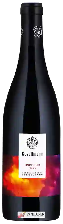 Winery Gesellmann - Siglos Pinot Noir