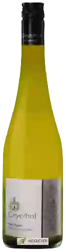 Winery Geyerhof - Ried Zasen Weisser Burgunder