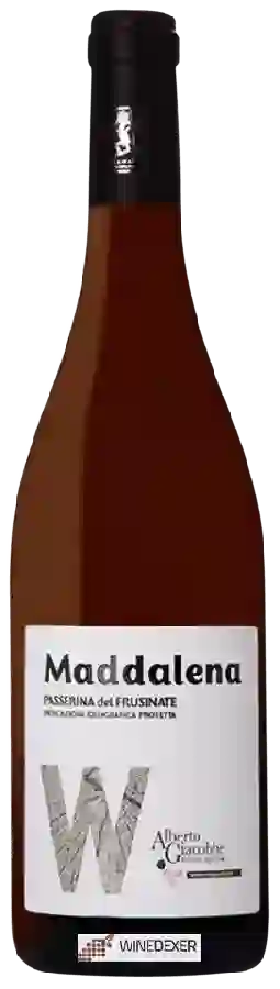 Winery Alberto Giacobbe - Maddalena Passerina del Frusinate Winery Alberto Giacobbe - Maddalena Passerina del Frusinate